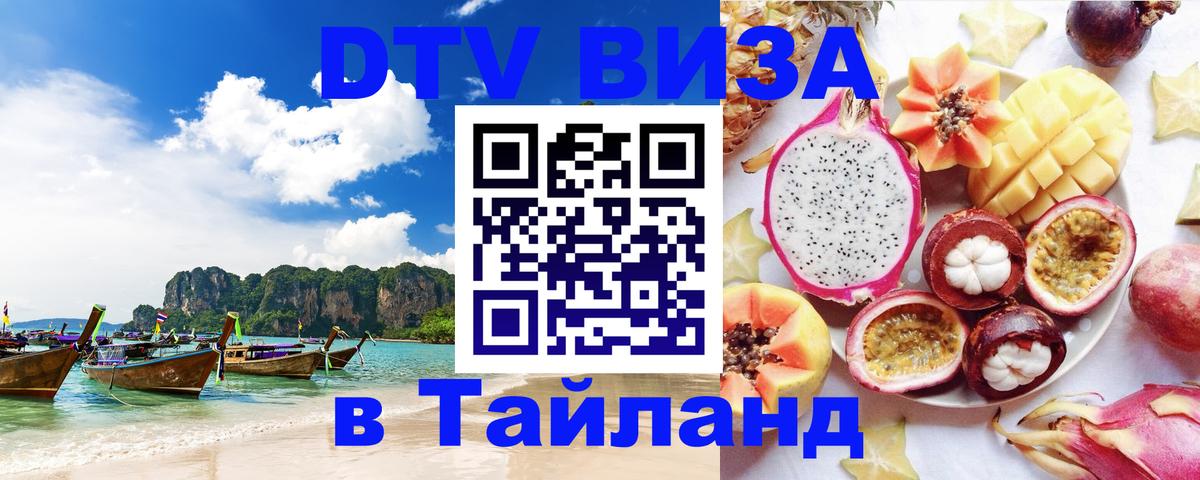 Оформление DTV визы под ключ: стоимость и тарифы, только загранпаспорт - Петрозаводск  20.11.2025 